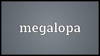 Megalopa Meaning [upl. by Peppy839]