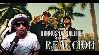 Farruko ❌ Ñengo Flow  Burros De Salitre 🏗🚤 REACCION [upl. by Seligmann]