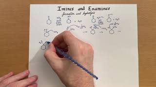 Imines and Enamines  Formation and Hydrolysis [upl. by Aramac]