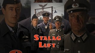 Stalag Luft [upl. by Anirdnajela518]