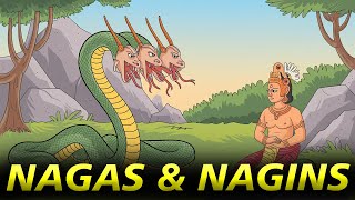 The Nagas amp Nagins In Indian Mythology amp Legends Explained  4K History [upl. by Joseph500]