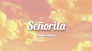 Señorita  Shawn Mendes Lyrics [upl. by Chae260]