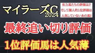 【マイラーズカップ2024】最終追い切り評価！ソウルラッシュら有力馬の動きはどうだったのか？そして個人的追い切り1位はどの馬だ！？ [upl. by Darsey696]