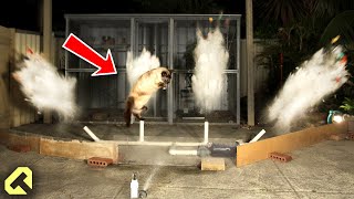 Next Level Cat Repellent  Funny Cat Reactions [upl. by Berne761]