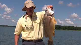 Freshwater Sheepshead and Smallmouth Bass using Shads and the Flexi Jigs [upl. by Wallas]