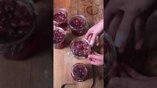 La confiture de cerises c’est délicieux pour le petitdéjeuner [upl. by Hackett252]