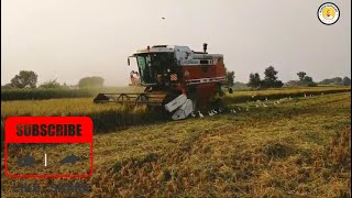 Agriculture harvester 3850 agriculturalsystem riceharvester viralvideo ricefarming farm [upl. by Pfeffer]