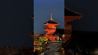 KiyomizuDera Temple opens for a special nighttime viewing once a year during autumn kiyomizudera [upl. by Hesoj]