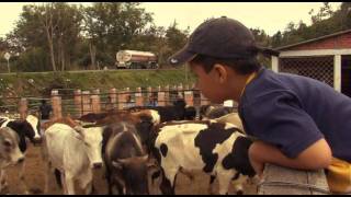 POPAYÁN Y EL CAUCA  sitios turísticos  HD [upl. by Suiravaj]