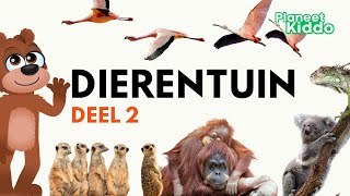 Dierentuin Dieren Leren In Het Nederlands 2  Voor Peuters En Kleuters  Learn Zoo Animals in Dutch [upl. by Naujej]