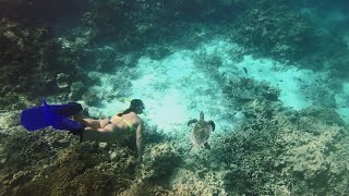 Embudu Village  Diving and Snorkeling [upl. by Yrellam]