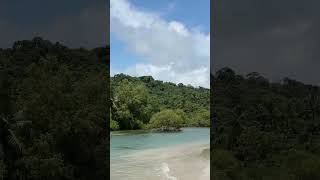 Palolem Beach Goa 🏖️☀️ Relaxing in Paradise  goa beach sea travel [upl. by Milan]