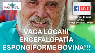 VACA LOCA ENCEFALOPATÍA ESPONGIFORME BOVINA [upl. by Tidwell]