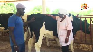 JOURNÉE DE LA FEMME AVEC Mme FATOU TOURÉ DOCTEUR VÉTÉRINAIRE [upl. by Zetnod]