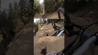 Flying At The Bike Park 😳 shorts downhill mtb [upl. by Gnot]