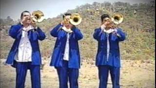 banda astilleros baciando botellas [upl. by Greenland]