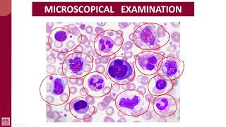 Hematology  1  U1L7  Examination [upl. by Redlac]