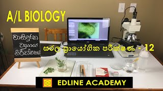 Observation of Lenticels  Biology Practicals Advanced Level Biology Sinhala Lessons [upl. by Nodyarg453]