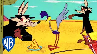 Looney Tunes  Wile Y Coyote the Failed Spy  Classic Cartoon  WB Kids [upl. by Adalard]