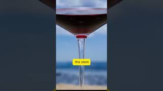 What If Wine Glass Doesnt Have Stem [upl. by Armalda]