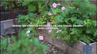 Lagriculture urbaine dans le secteur Hlm avec Valophis [upl. by Adebayo]