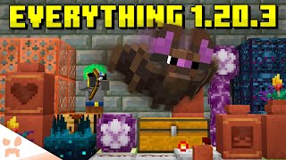 EVERYTHING In Minecraft 1203 [upl. by Justine]