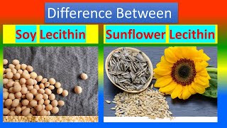 Difference between Soy Lecithin and Sunflower 🌻 Lecithin [upl. by Nennerb850]