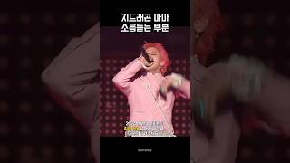 24년 마마 여러분의 최애 장면은 지드래곤 태양 대성 [upl. by Jared]