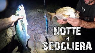 Tutta la notte a pesca in scogliera senza dormire [upl. by Tooley484]