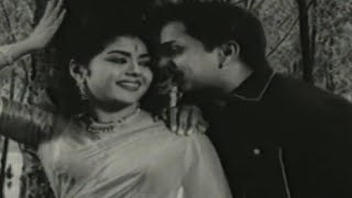 Kula Gothralu Movie Songs  Chelikadu Ninne Rammani Piluvaa Song  ANR Krishna Kumari Krishna [upl. by Adi]