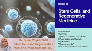 Stem Cells and Regenerative Medicine [upl. by Beaumont965]