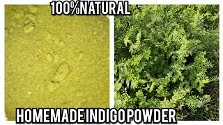 indigo powder preparation at home100natural ఇండిగో పౌడర్ [upl. by Dragone]