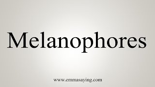 How To Say Melanophores [upl. by Aerdnaek]