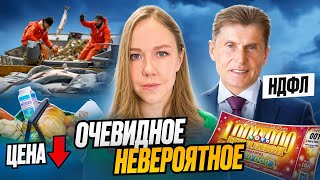 Кэшбек от налоговой за 1 заявление Чем порадовала Госдума [upl. by Hattie]