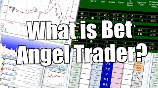 What is Bet Angel trader betfair [upl. by Haronid]