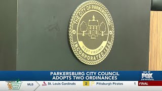 Parkersburg City Council [upl. by Nongim913]