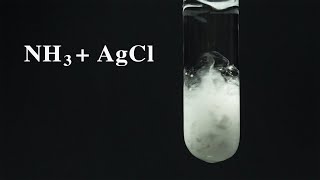 Thí nghiệm NH3  AgCl Ammonia tác dụng với silver chloride [upl. by Clothilde72]