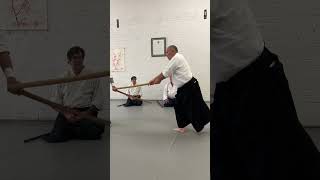 Yahe Solomon Bokken kiriotoshi jodan with a stop [upl. by Mihar]