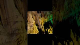 Stalagmites amp Stalactites at Florida Caverns State Park cave shorts [upl. by Ariday]