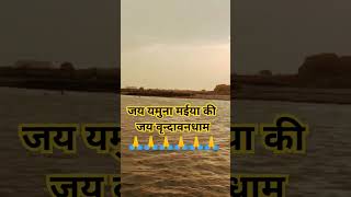 vrindavan dham apar jape ja radhe radheyoutube youtubeshorts new vrindavan vrindavandham [upl. by Atil]