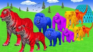 Long Slide Game With Elephant Gorilla Buffalo Hippopotamus Tiger  3d Animal Game  Funny Animals [upl. by Vladamir]