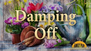 Damping Off – Garden Glossary [upl. by Erodisi]