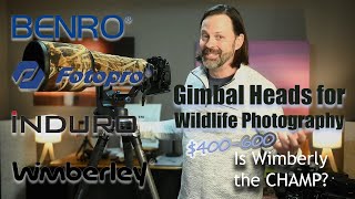 Gimbal Review for Wildlife 400600 Is Anything Better Than Wimberly [upl. by Euqinomahs665]