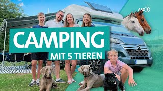 WohnmobilTour mit 3 Hunden und 2 Pferden  ARD Reisen [upl. by Jann510]