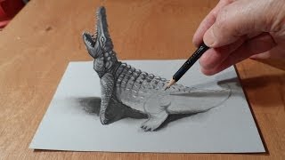 How To Draw A 3d Crocodile [upl. by Akeemat66]