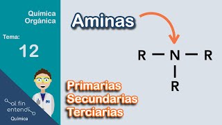 Nomenclatura y Clasificación  Ejemplos y Ejercicios [upl. by Irrak]