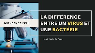 La différence entre un virus et une bactérie [upl. by Salomon]