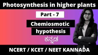 Photosynthesis in higher plants Part 7  Chemiosmotic hypothesis biologyinkannada 1stpuc pcmb [upl. by Hicks]