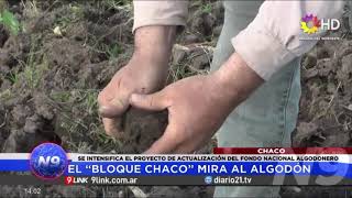 N9  CHACO  EL “BLOQUE CHACO” SIGUE TRABAJANDO POR LA PROVINCIA [upl. by Anih]