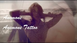 Fawn Anemone Tattoo Lyric Video [upl. by Shir]